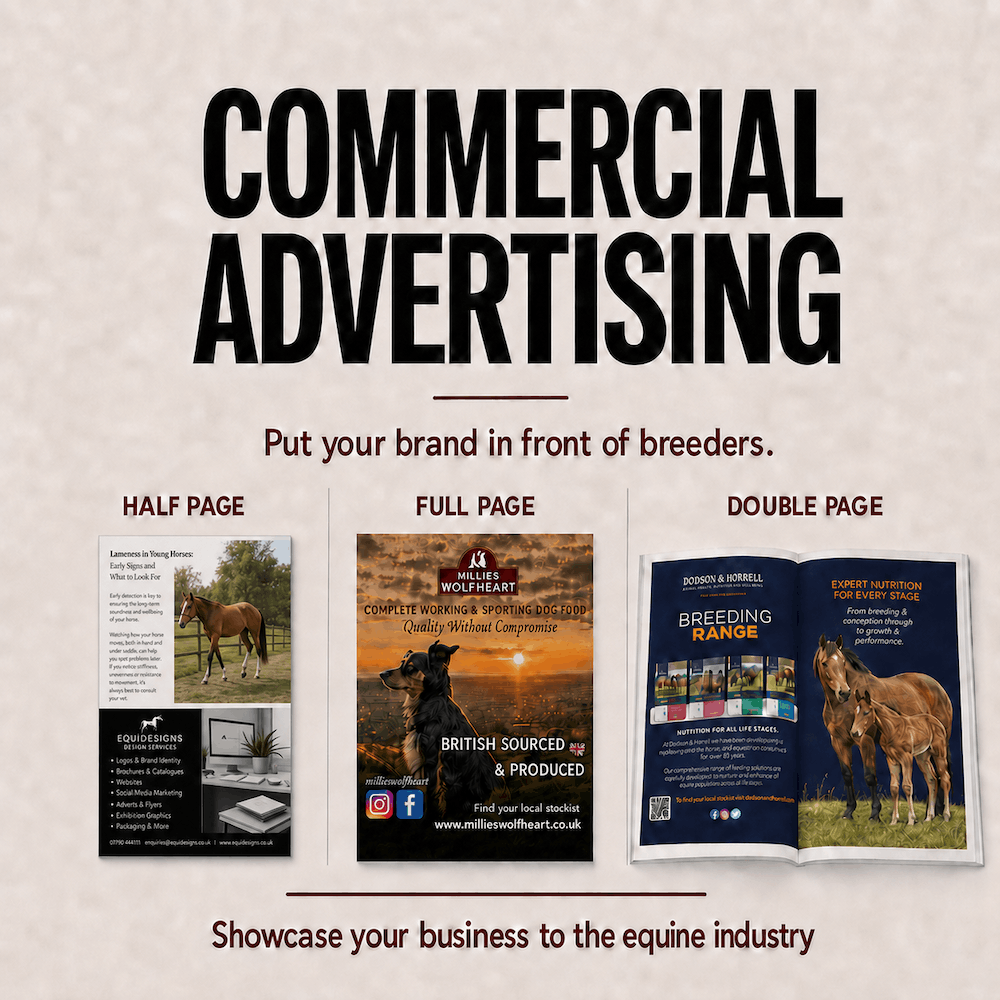 Commercial Equine Placement
