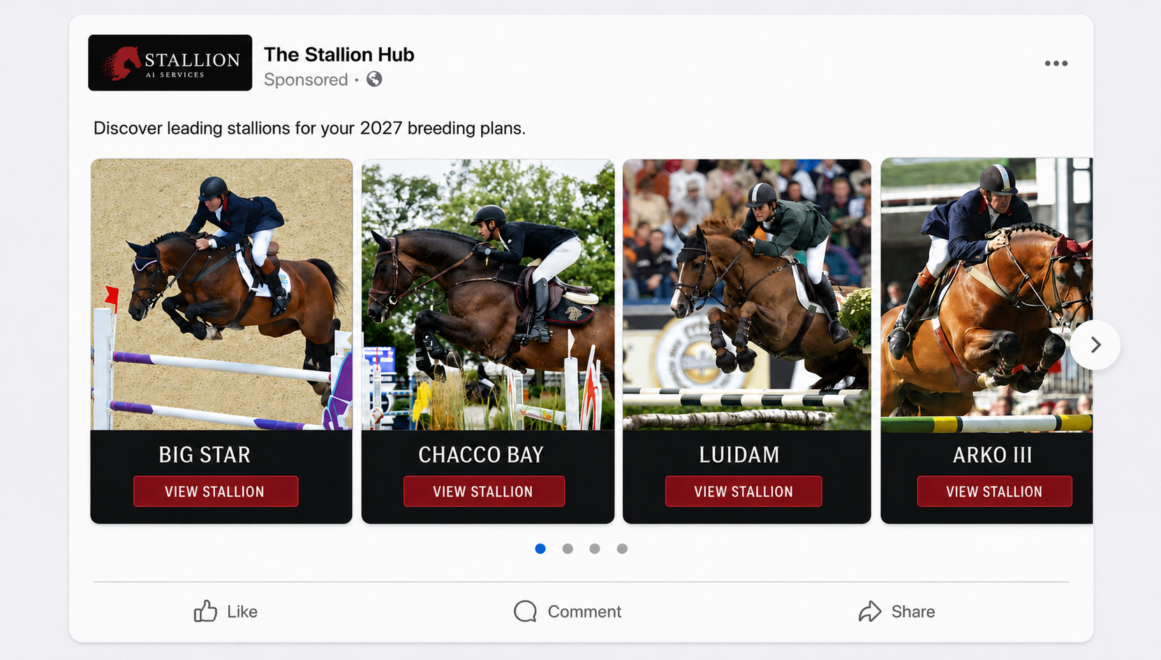 The Stallion Hub Interface