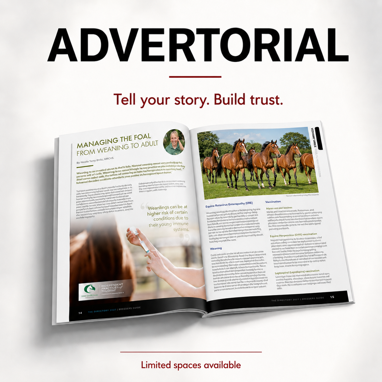Advertorials Placement