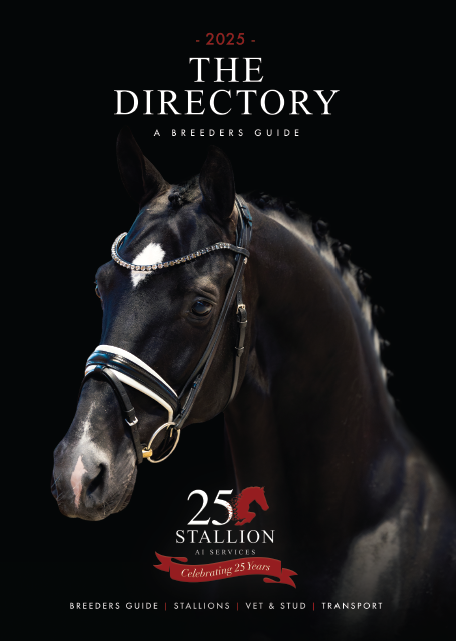 The Directory 2025