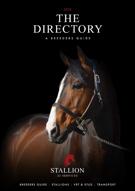 The Directory 2022
