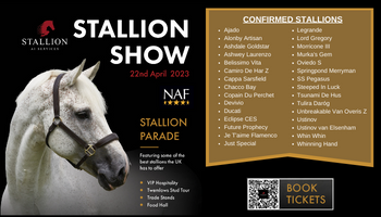 STALLION SHOW 2023