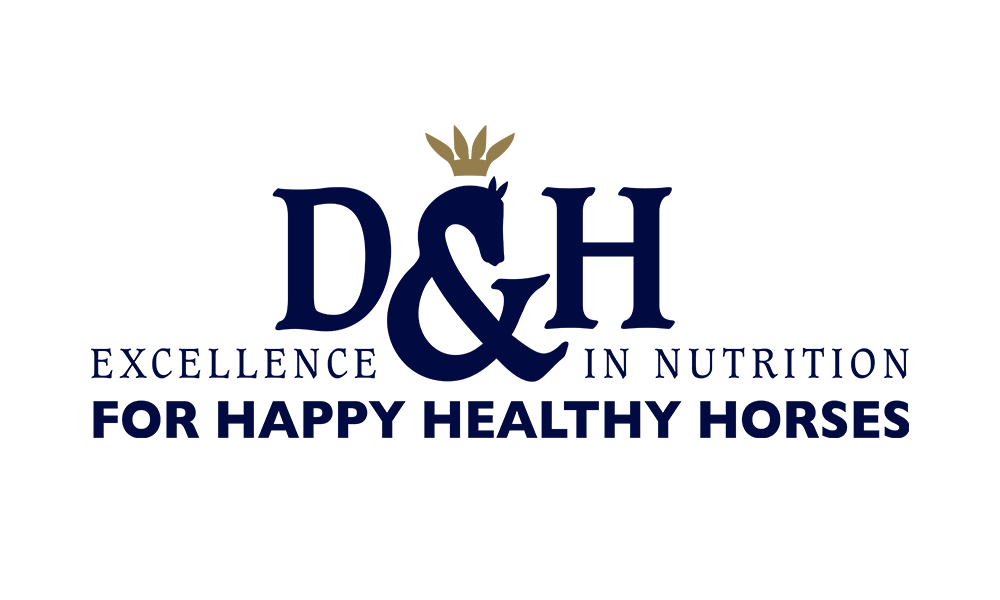 D&H and Stallion AI Services