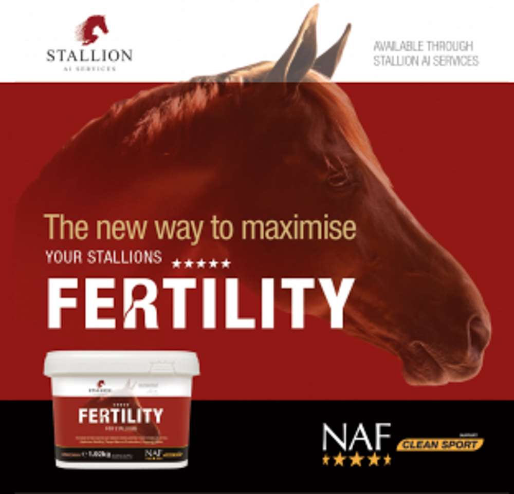 NAF Five Star Fertility For Stallions - 10kg Tub (approx. 5 month supply) 