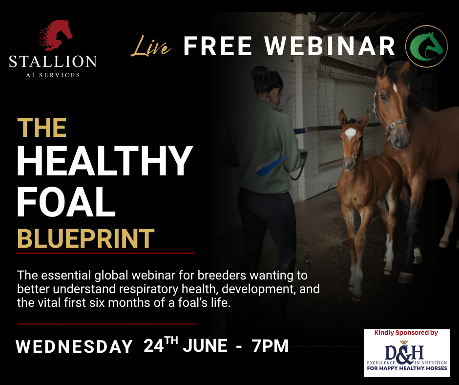 The Healthy Foal Blueprint Webinar