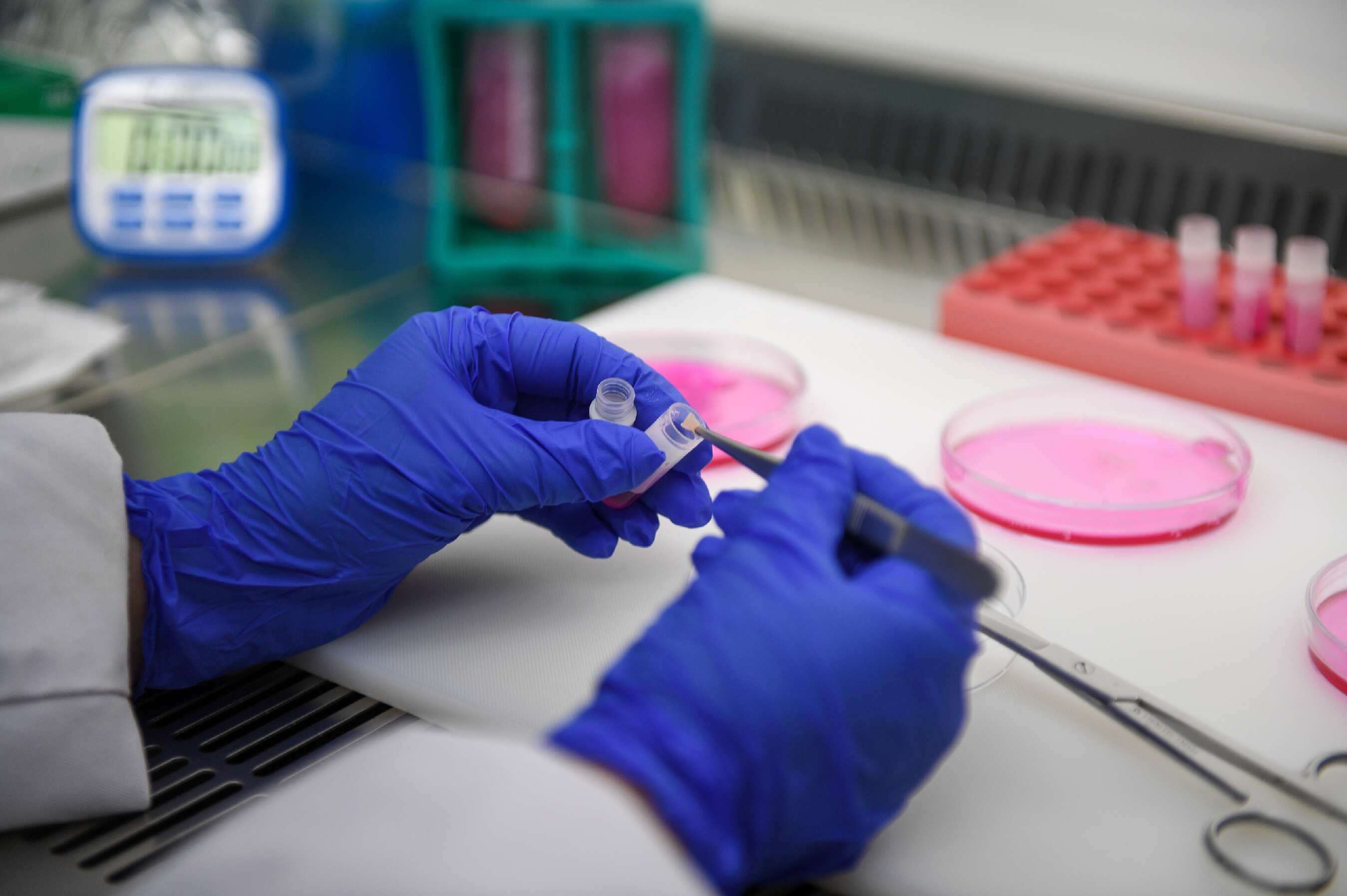 State-of-the-Art Laboratory