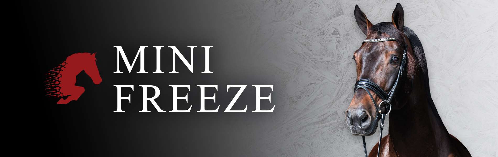 SPECIAL OFFER - Mini Freeze and Mini Freeze +