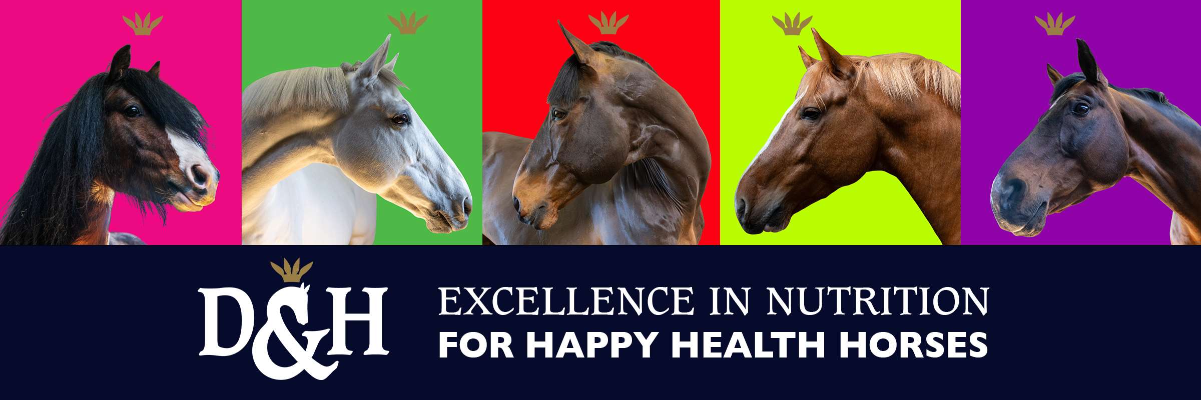 Dodson & Horrell and Stallion AI Services Banner