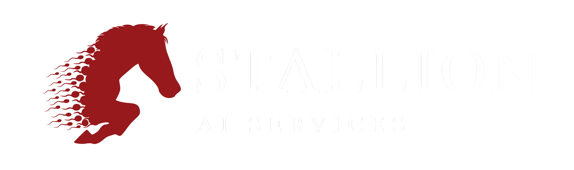Stallion AI Services