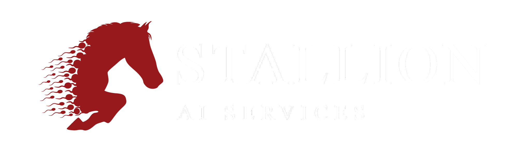 home-stallion-ai-services