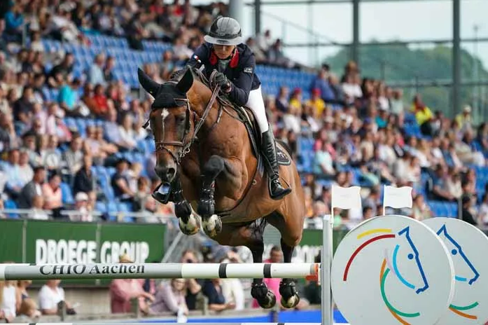 Andiamo Semilly Stallion