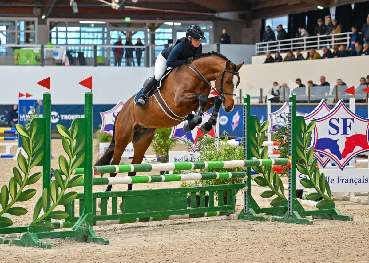 Loveur de Startup Stallion