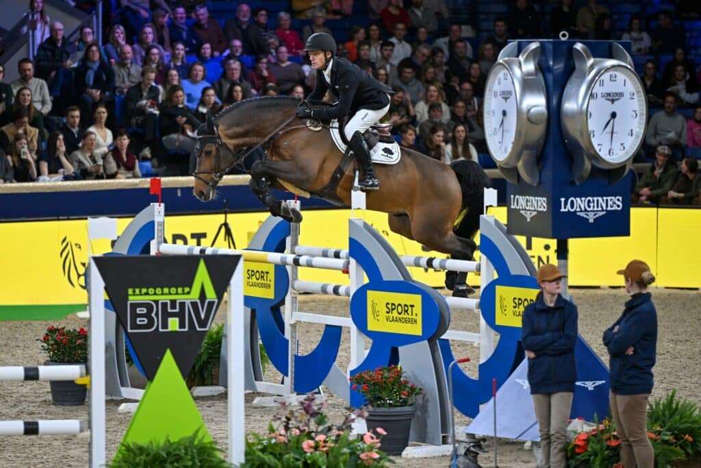 Cero Blue TN Stallion