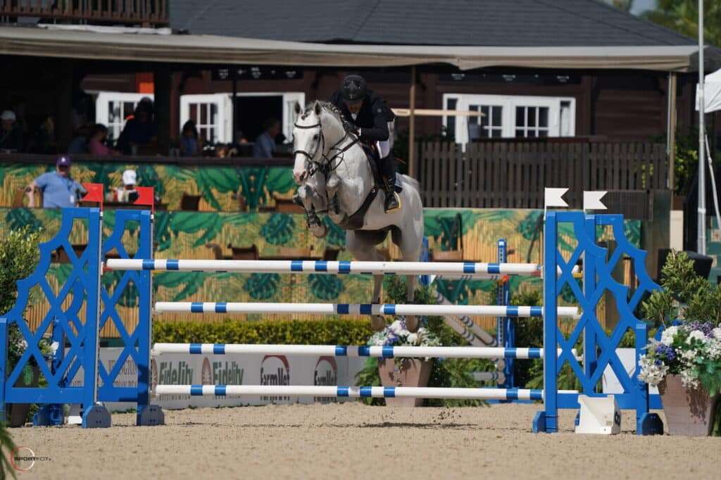 Cassini Gold Stallion