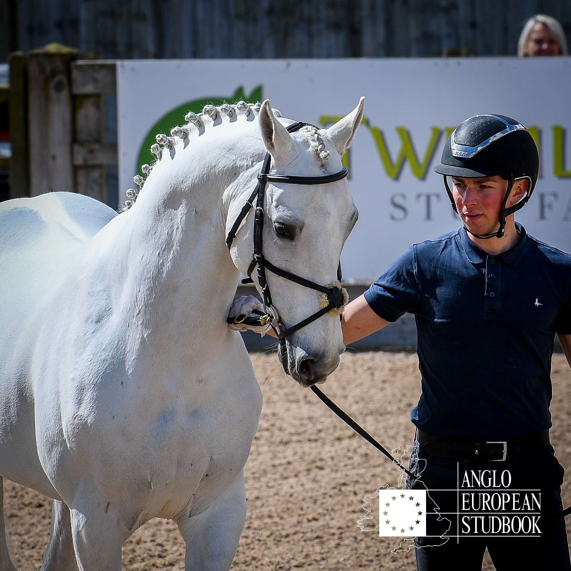 Murka's Gem Stallion