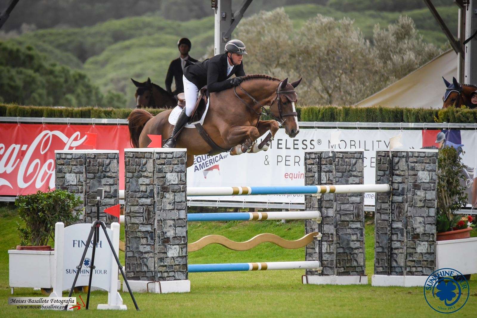 Fondan De Caverie Stallion