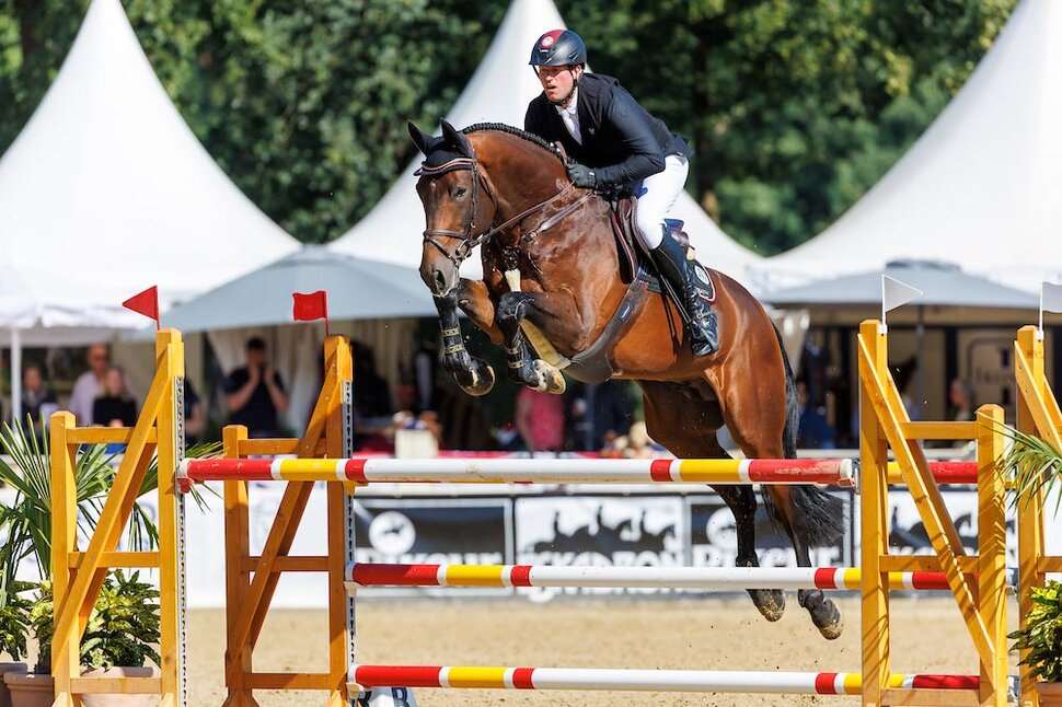 Diamant de Plaisir II Stallion