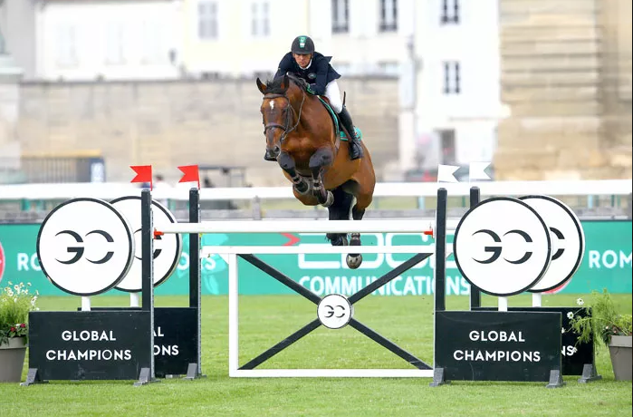 ROCK'N ROLL SEMILLY Stallion