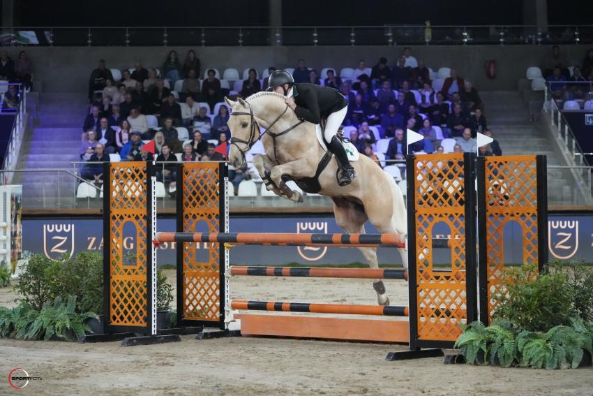 Vanilla Ice De Tamise  Stallion