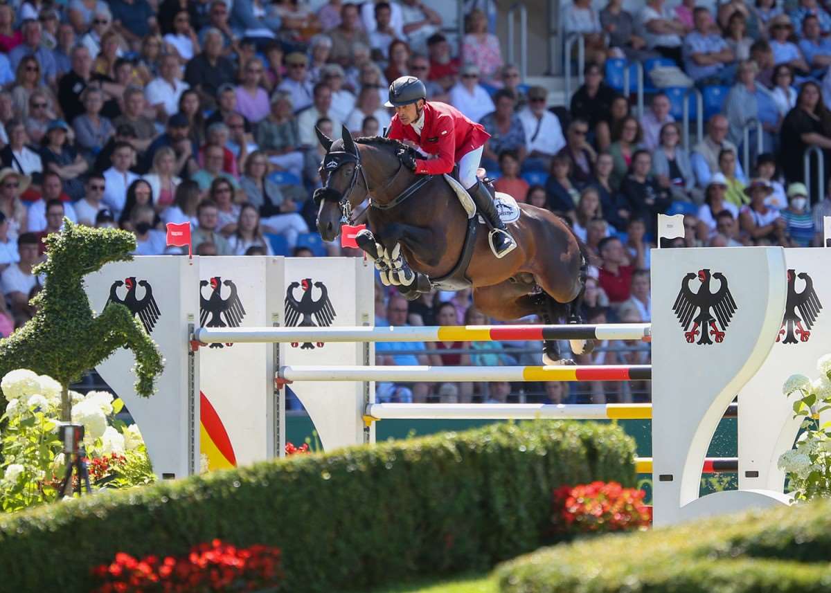 Vancouver de Lanlore Stallion