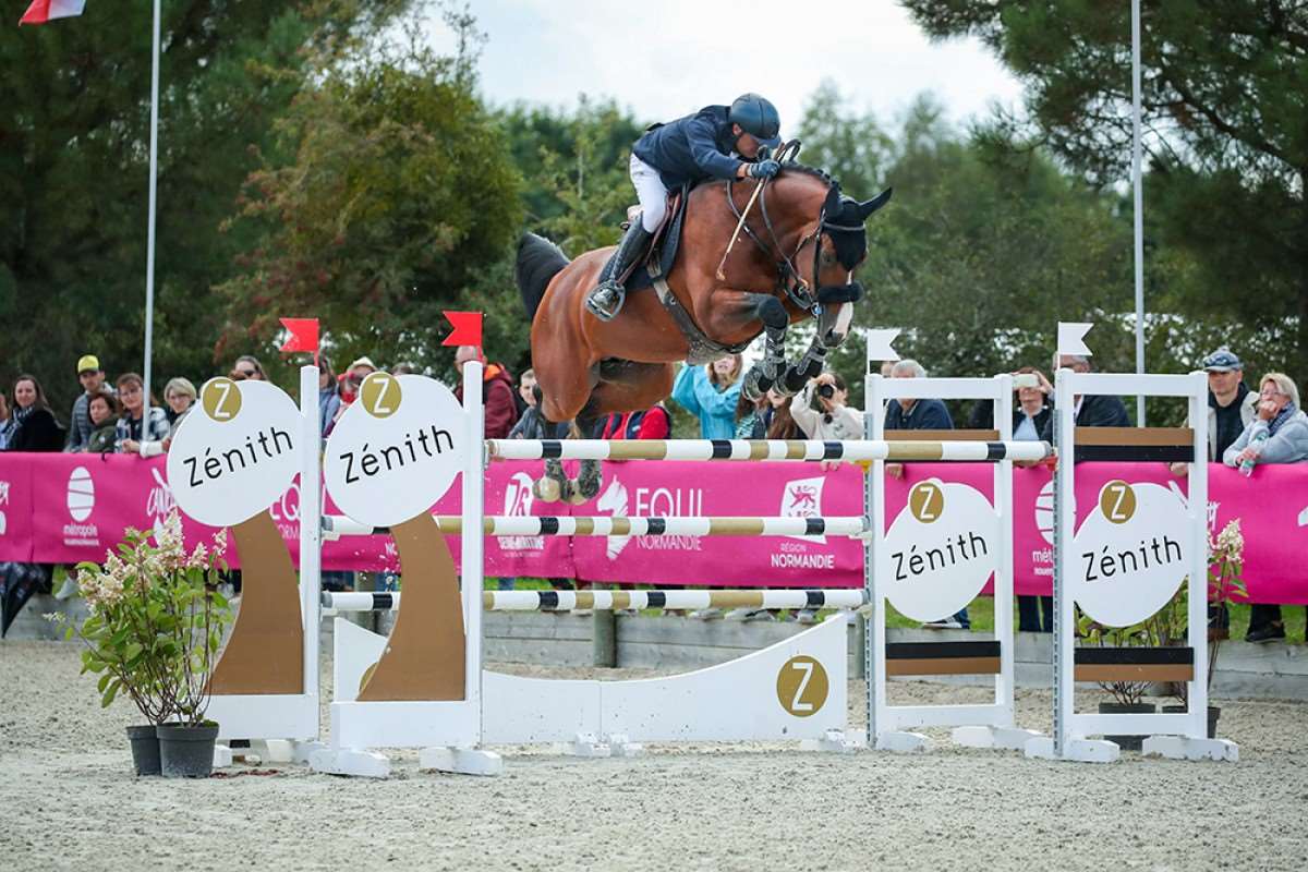 Chrome d'Ivraie Stallion