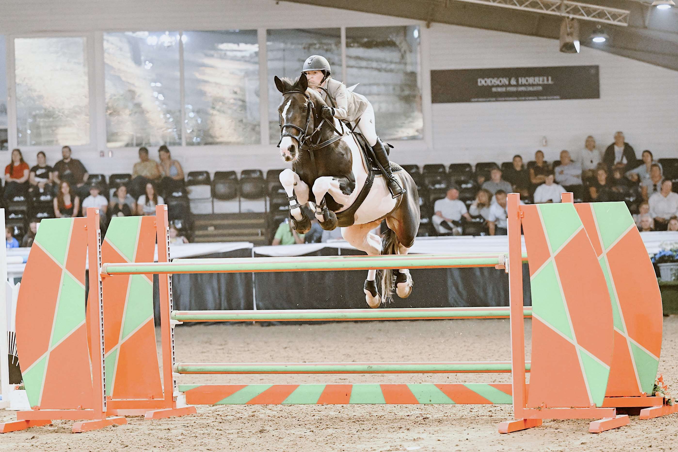 Nutella Duo NN Stallion