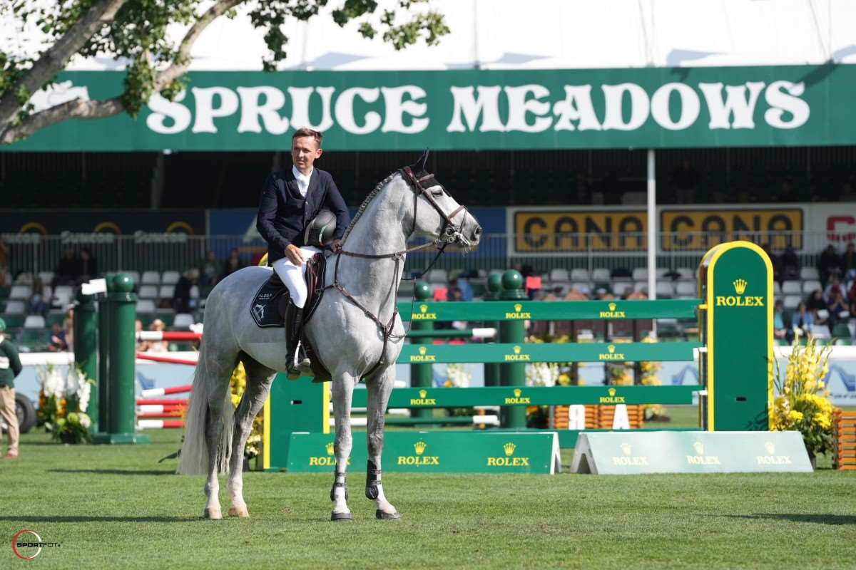 Huricane de Champloue Stallion