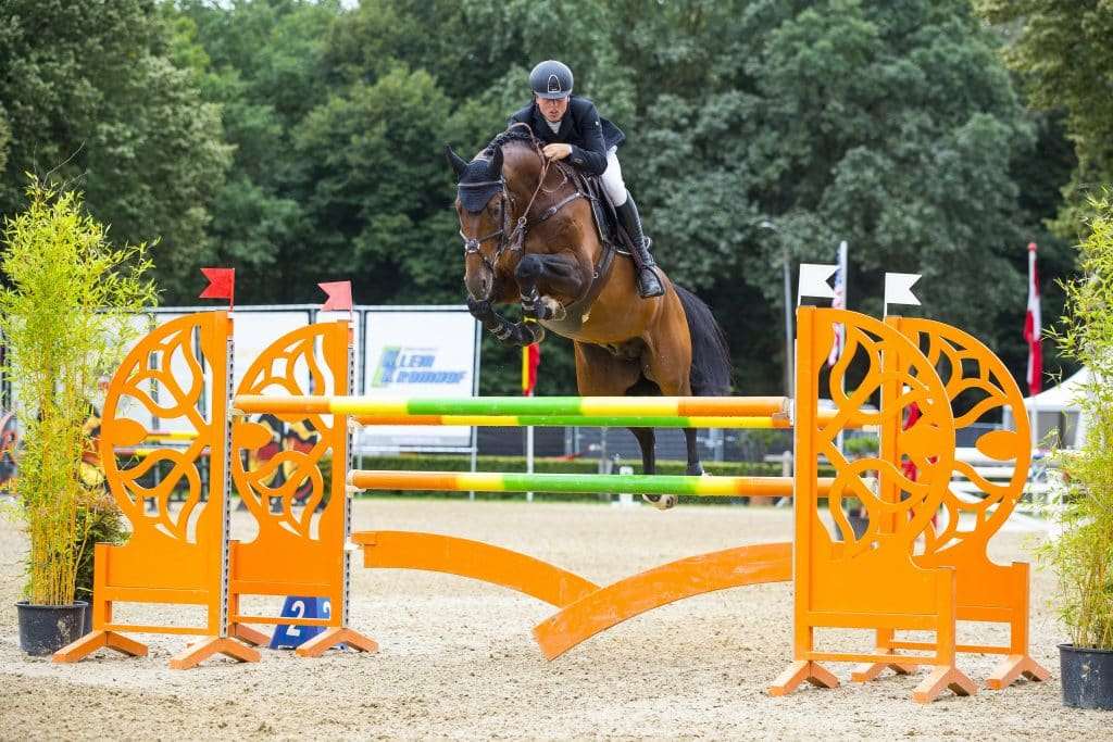 Hernandez TN Stallion