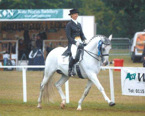 RH Stallion RH Stallion