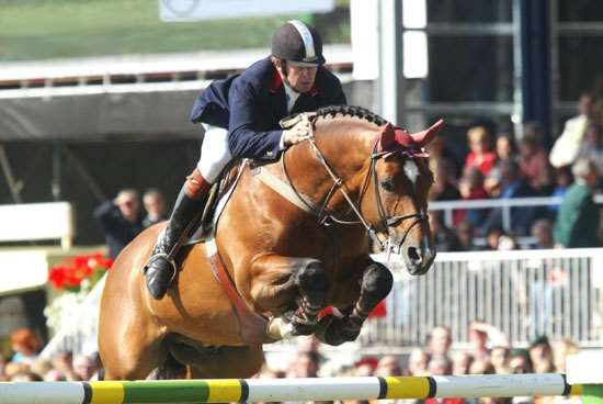 Arko III Stallion