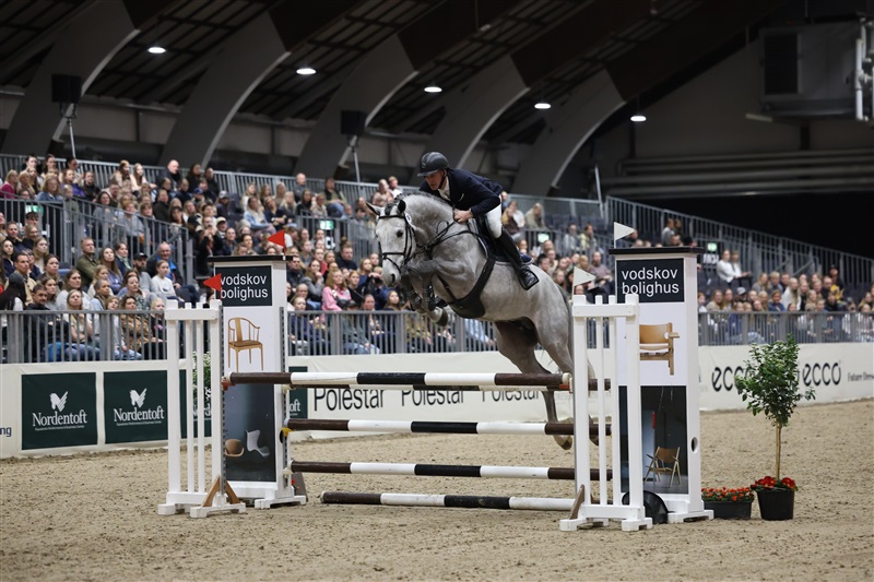 Cartoon Hero RV Stallion