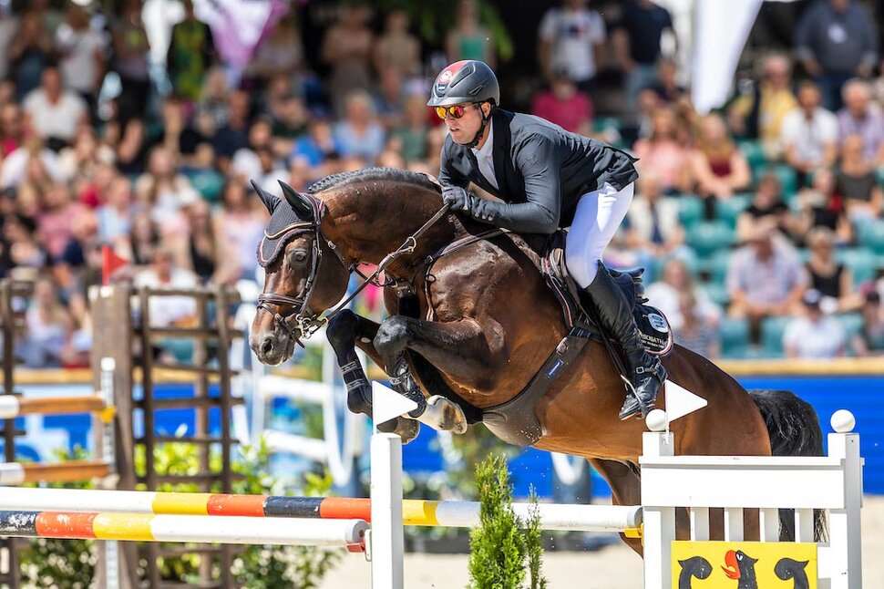 Casino Grande Stallion