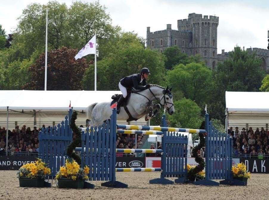 Ardcolum Duke Stallion Ardcolum Duke Stallion