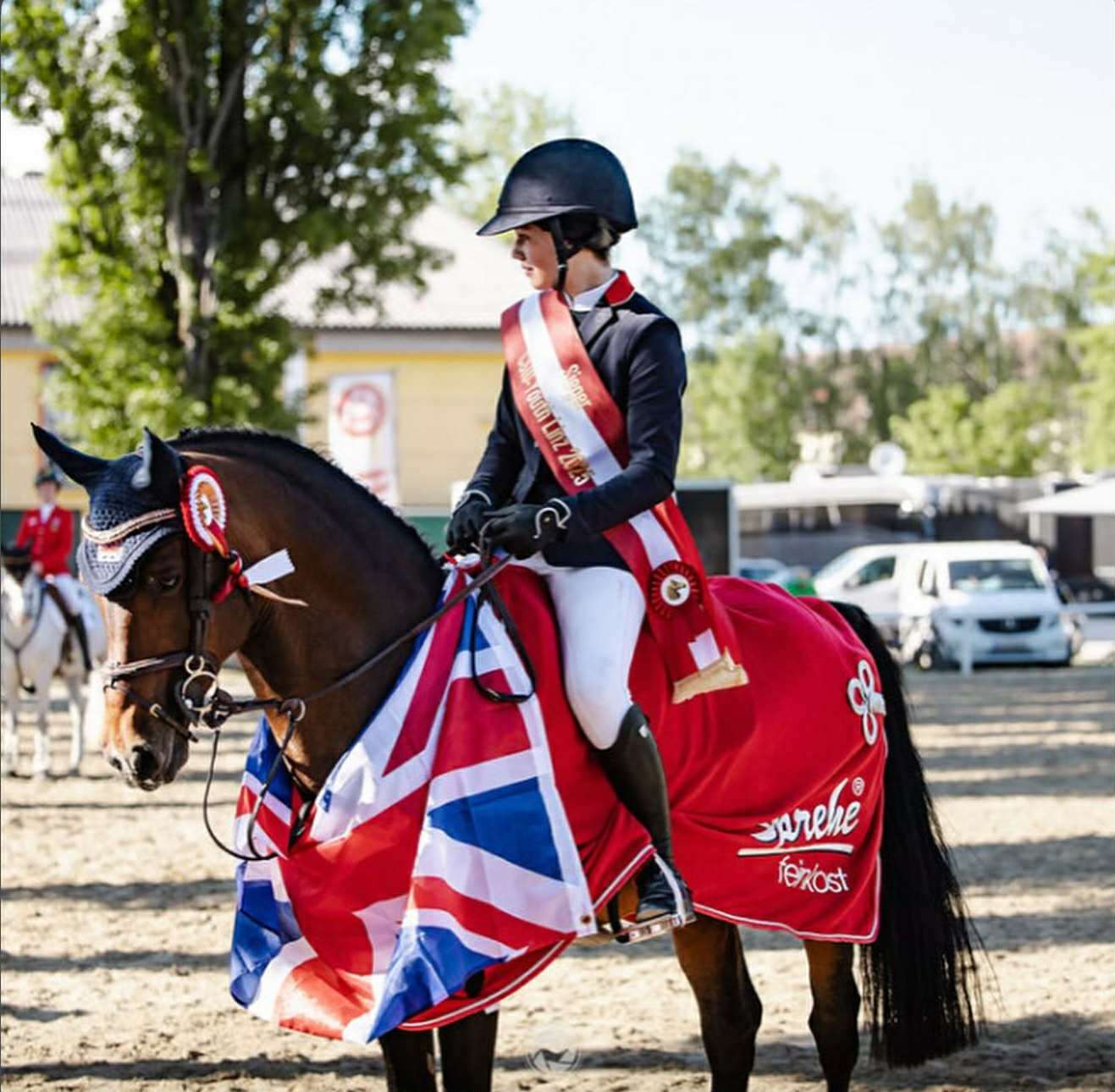Oscar Van De Beekerheide  Stallion