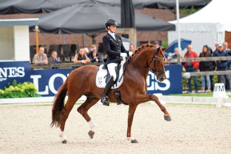 Vitalos Stallion Vitalos Stallion