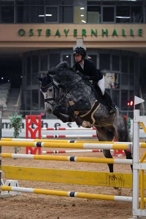 Cornet's Quaprice Stallion