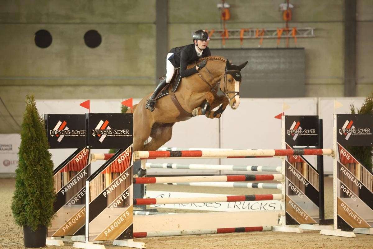 Excelsior Optimus Z Stallion