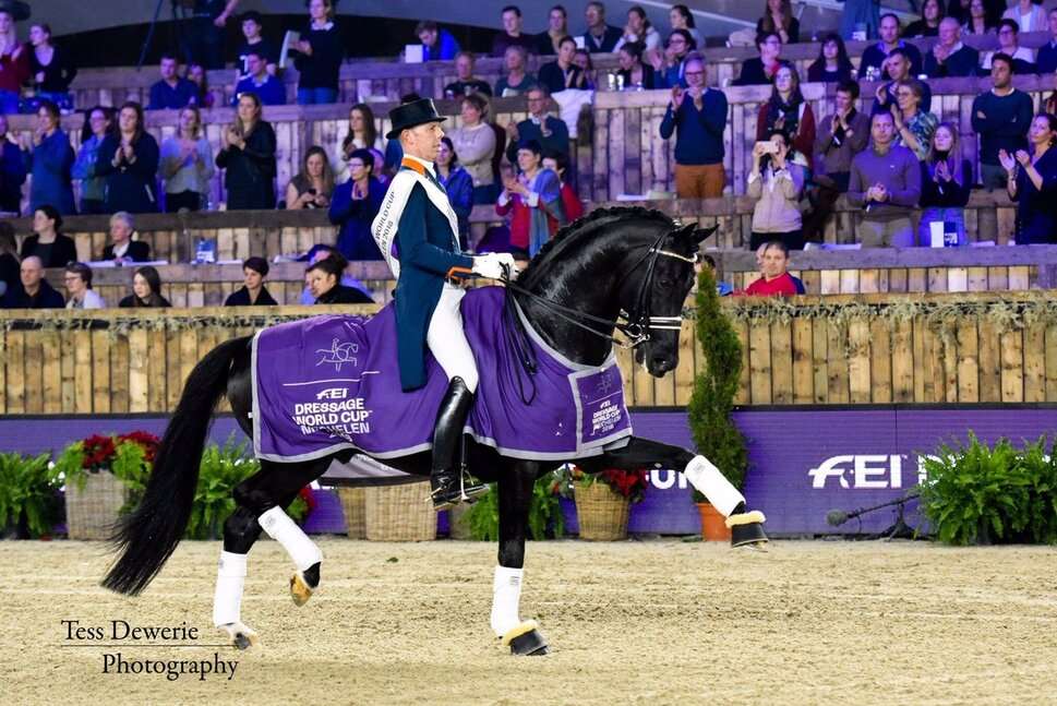 Glock's Dream Boy Stallion