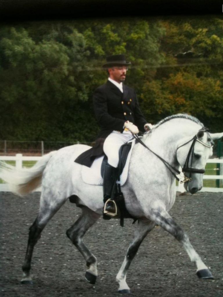 Exacto Stallion Exacto Stallion