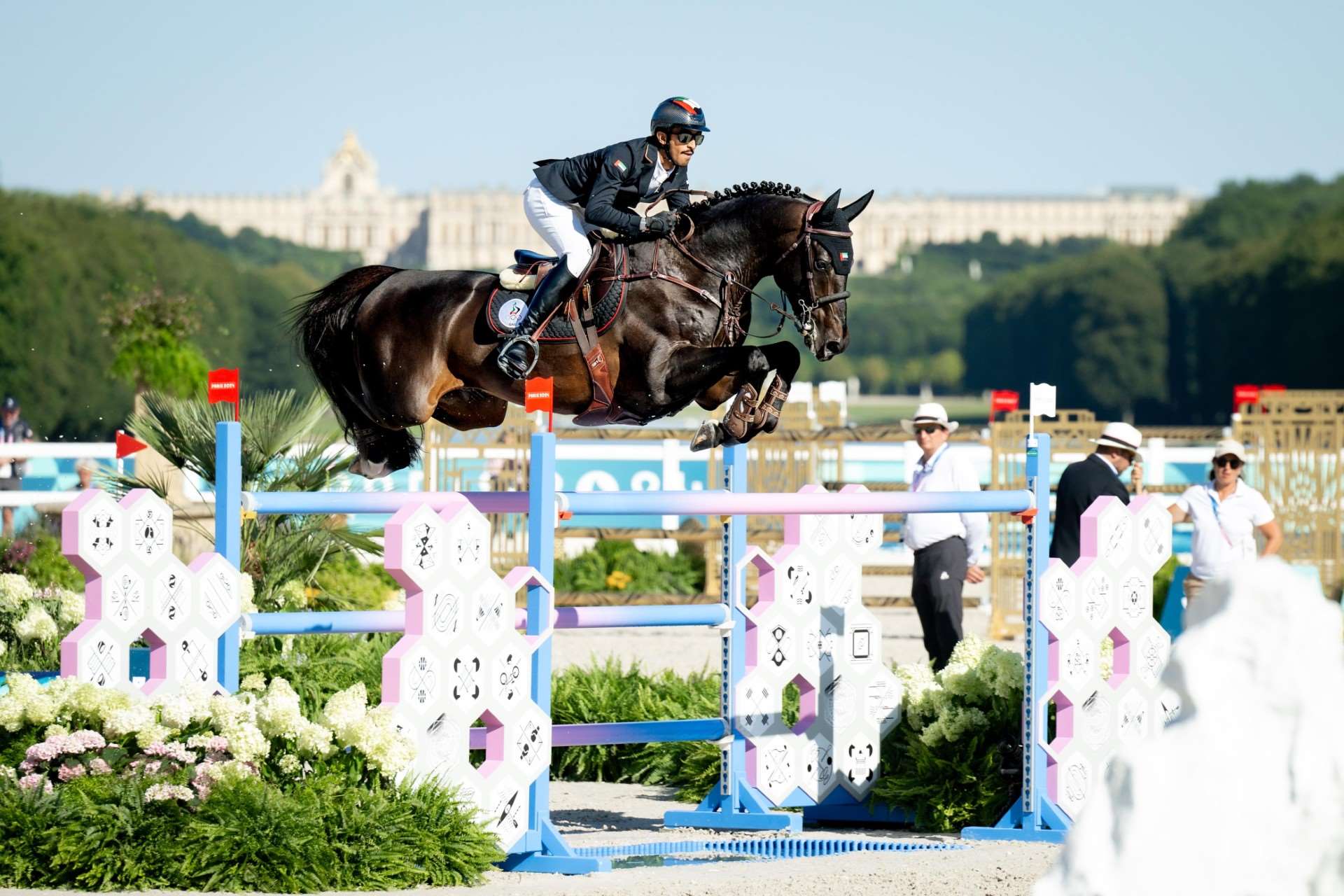 Enjoy De La Mure Stallion
