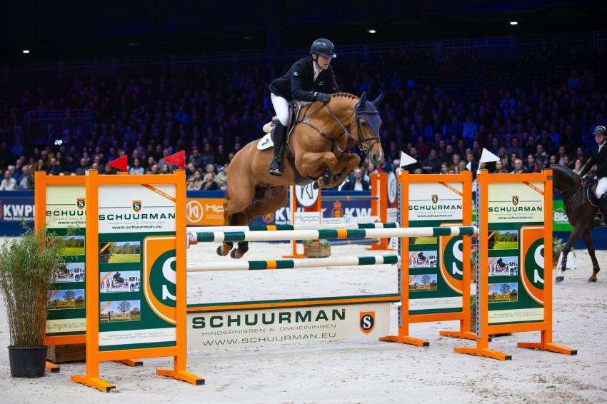 Sambucci De Muze Stallion