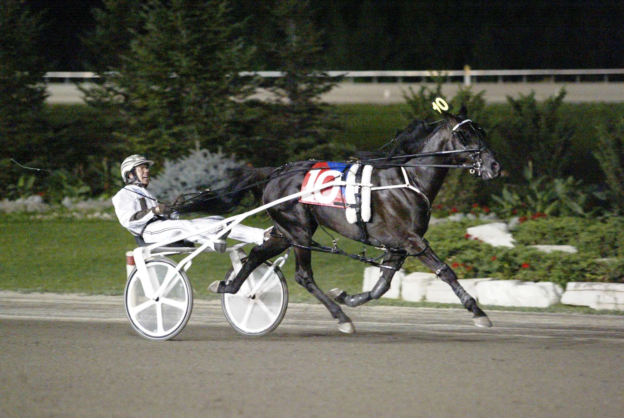 The Preacher Pan Stallion The Preacher Pan Stallion