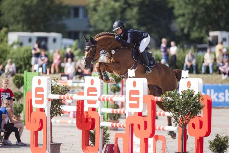 Chacfly PS Stallion Chacfly PS Stallion