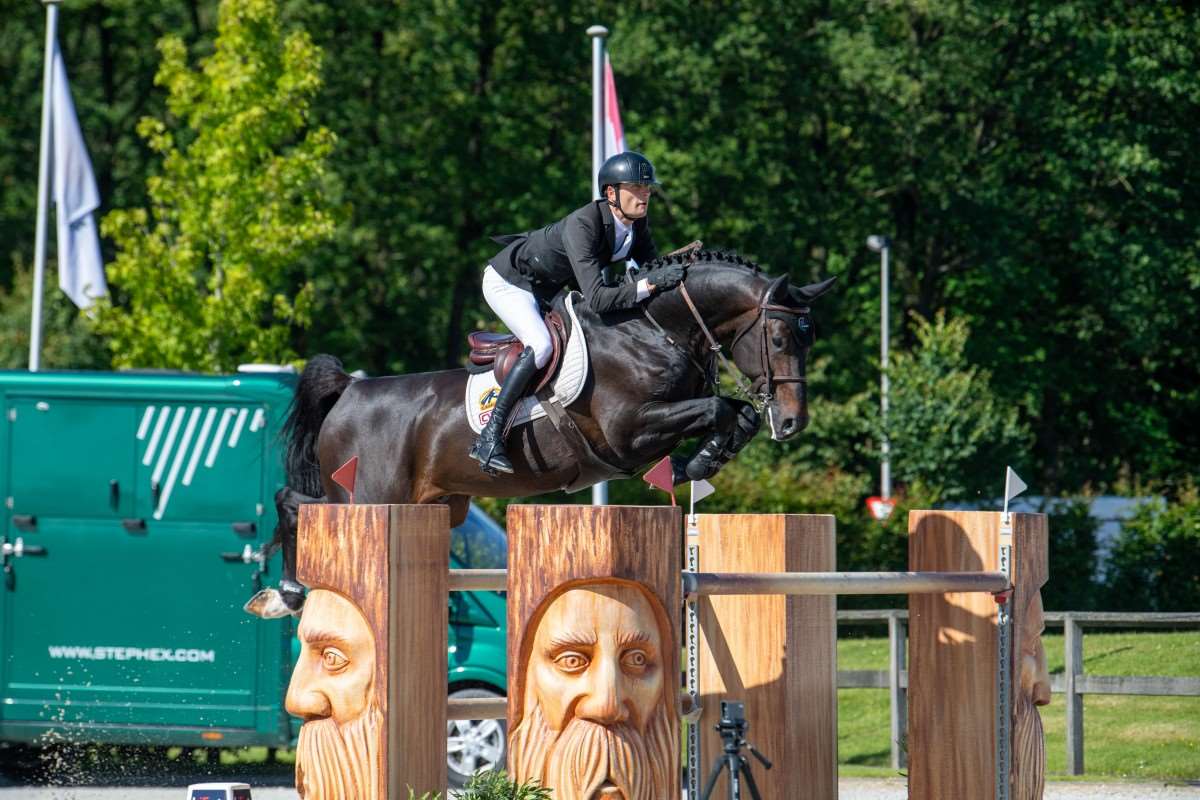 Pégase van't Ruytershof Stallion