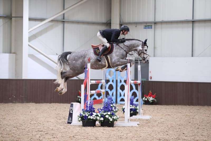 Unbreakable Van Overis Z Stallion Unbreakable Van Overis Z Stallion