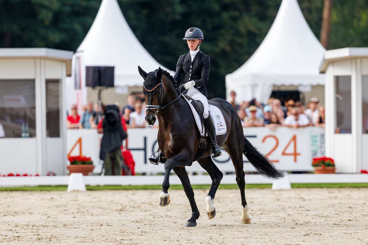 Endorphin FRH Stallion