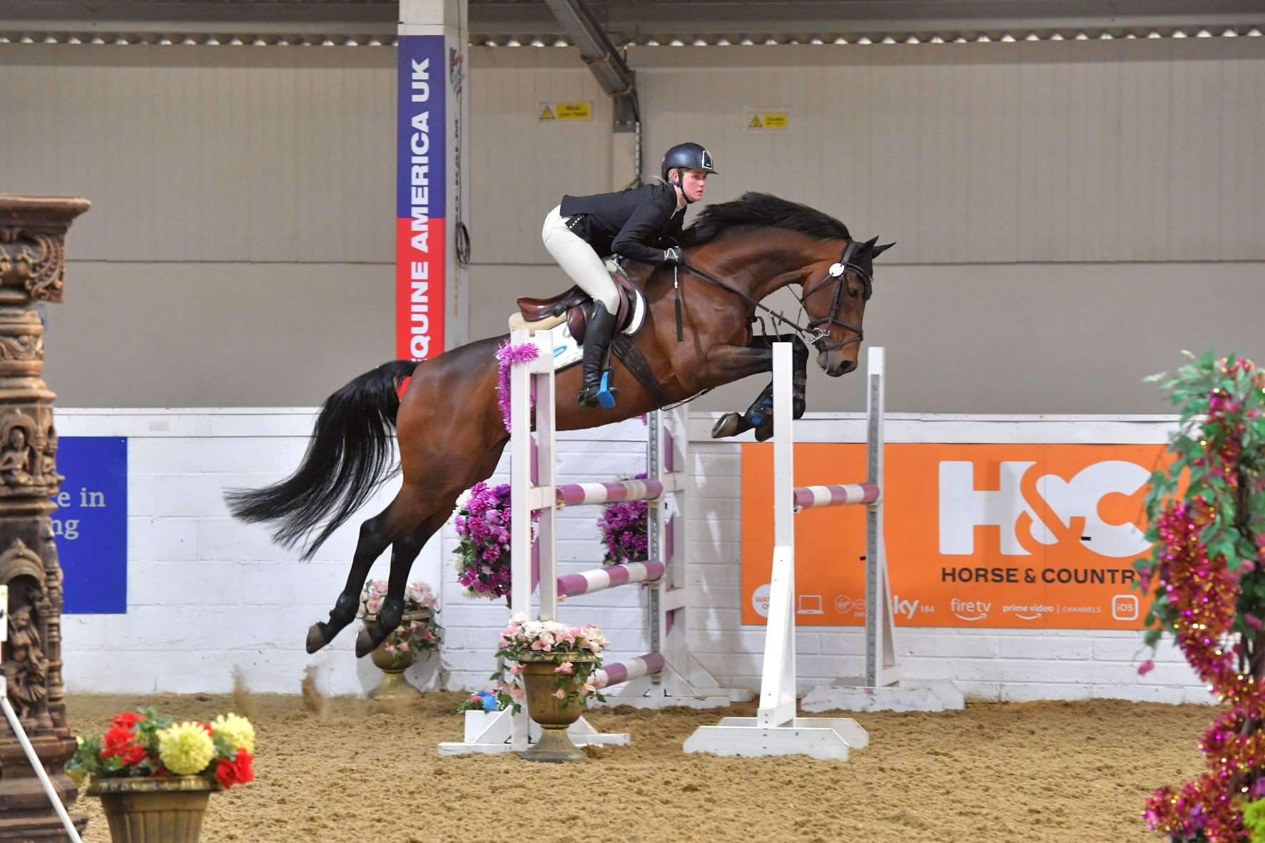Prophecy B - Stallion AI Services - Suzanne Waller Prophecy B - Stallion AI Services - Suzanne Waller