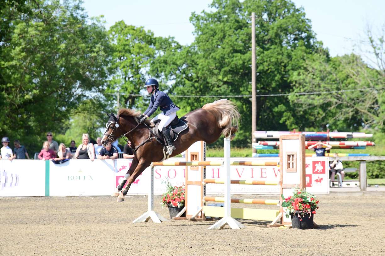 Vincenzo NRW Stallion