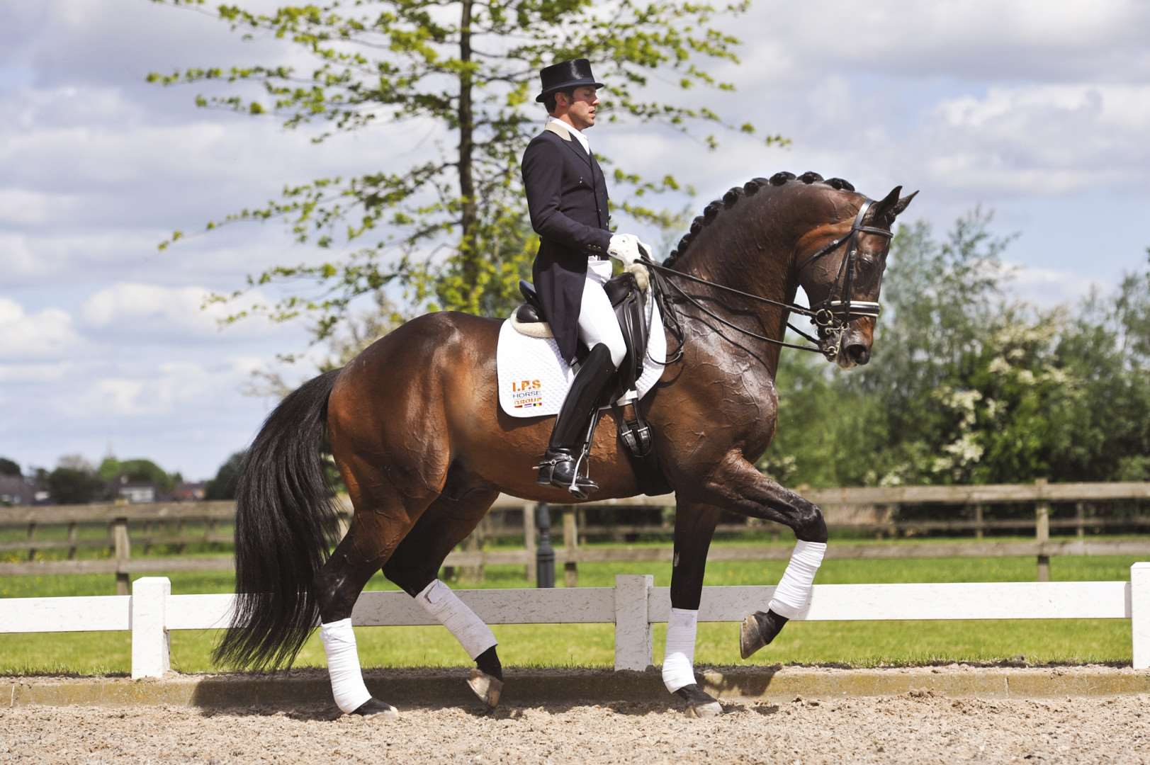 Easy Game Stallion Easy Game Stallion